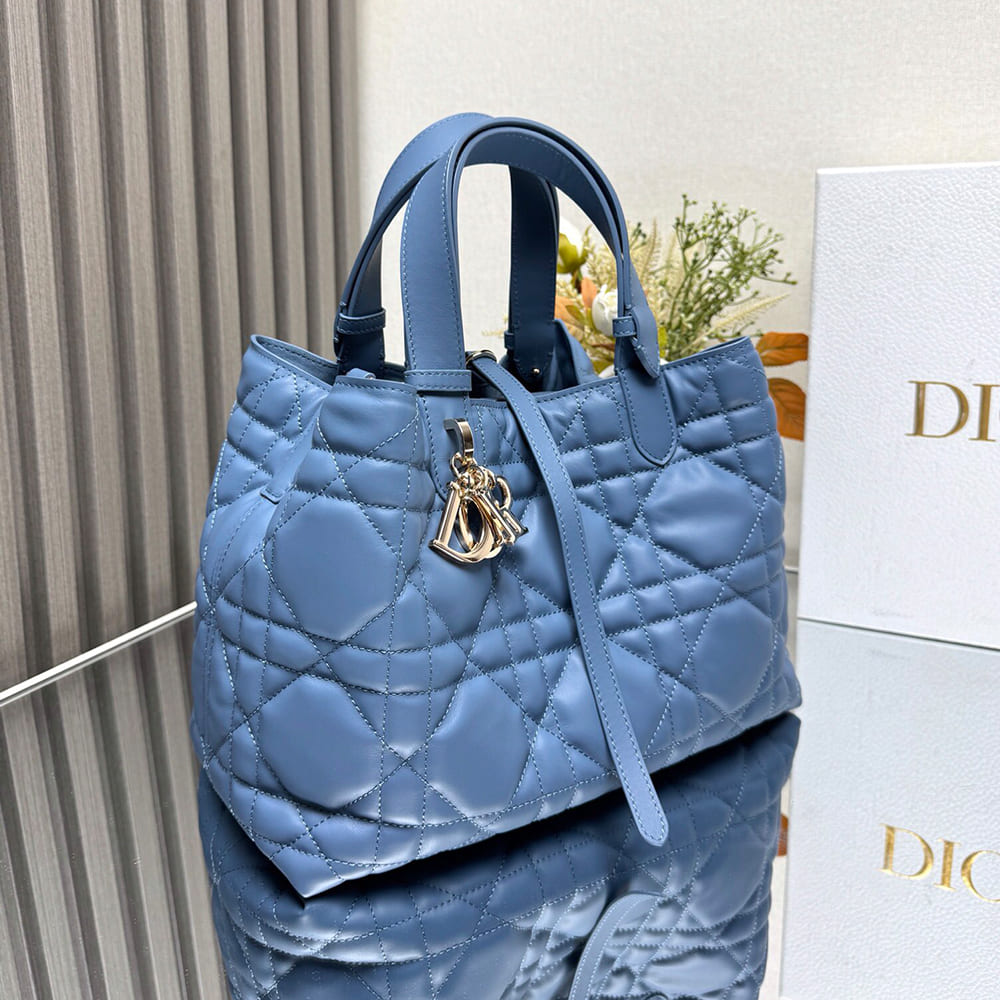 Medium D10r Toujours Bag