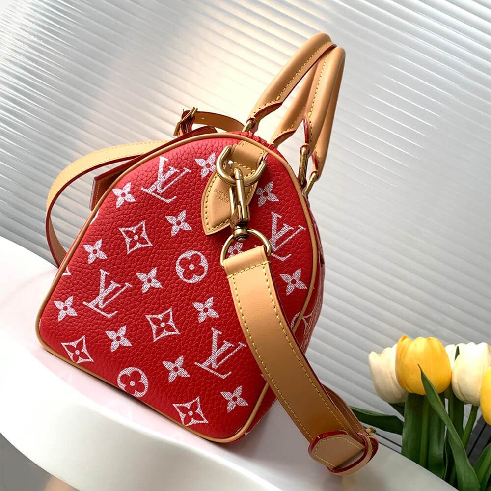 LV Speedy P9 Bandouliere 25(HIGH-END GRADE)