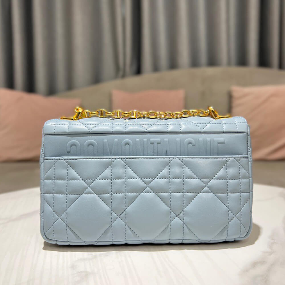 MEDIUM D10r CARO BAG