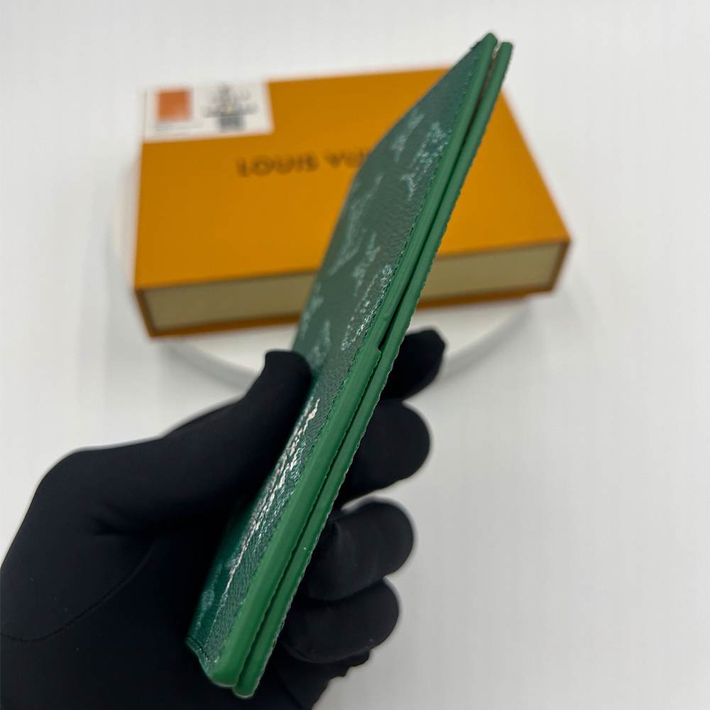 LV Passport Cover