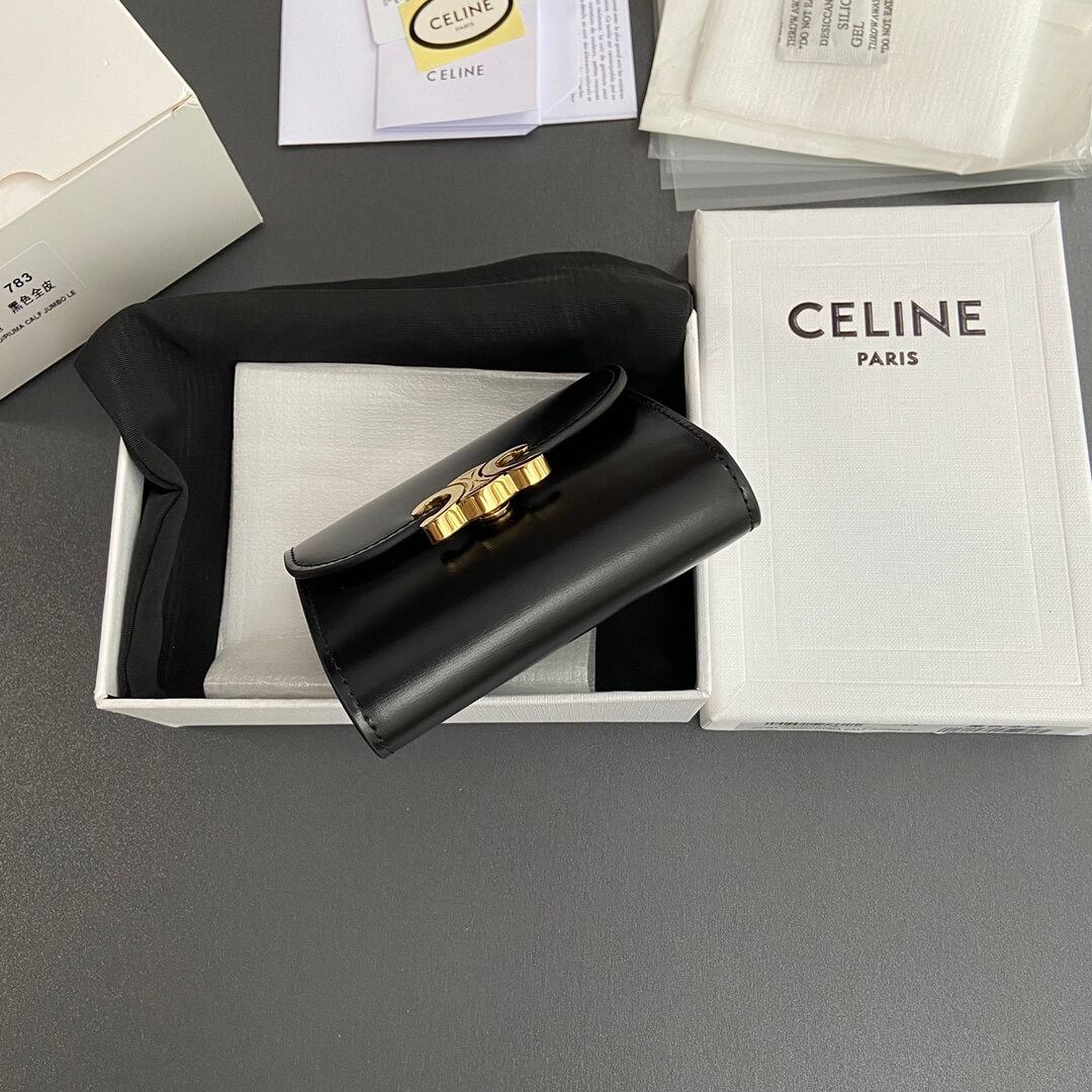 Ce1i*e Small Flap Wallet TRIOMPHE IN Shiny Smooth Lambskin