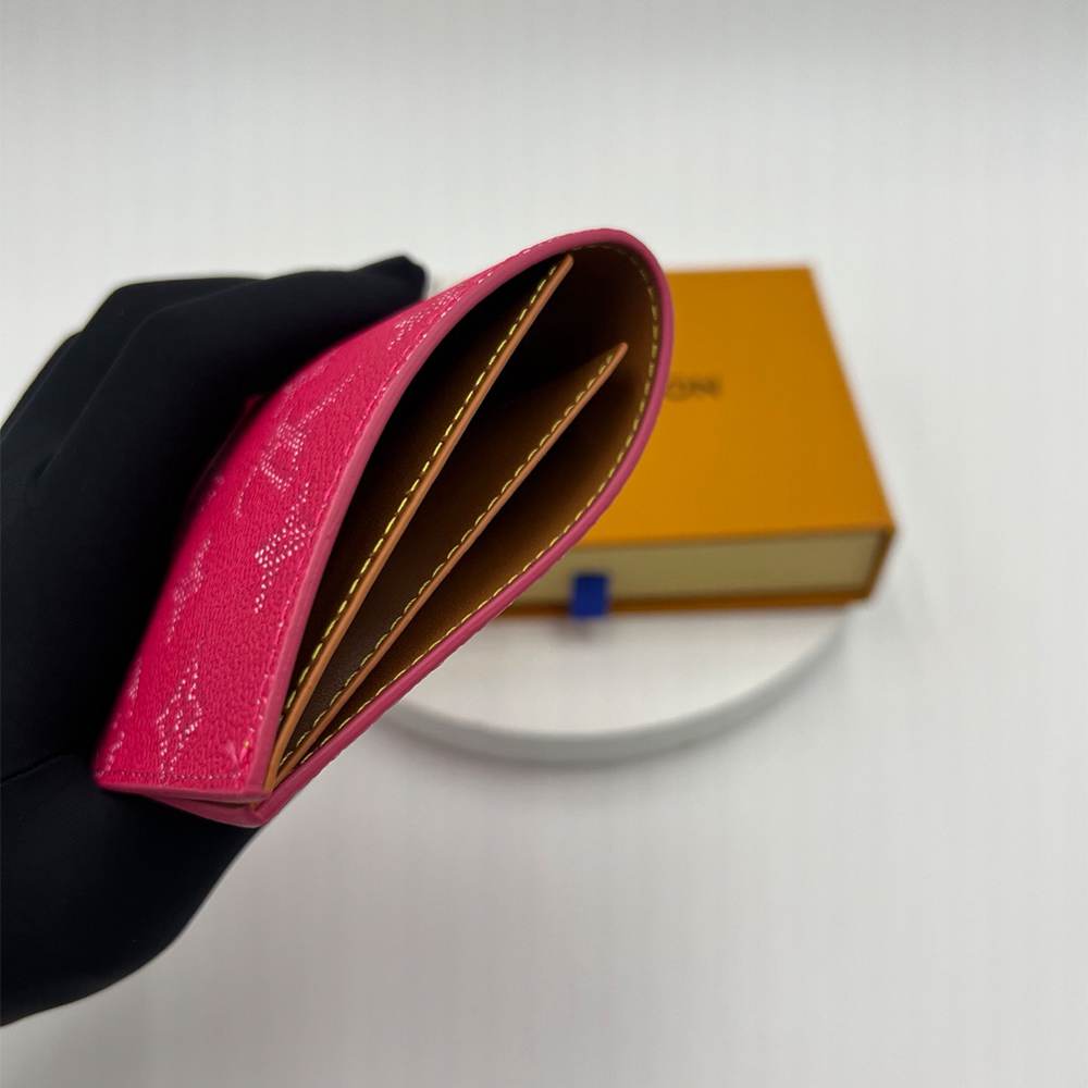 LV Passport Cover