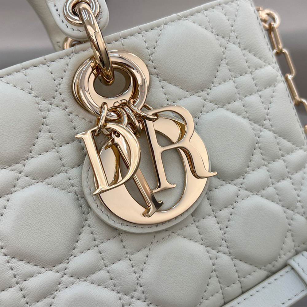 D10r Medium Lady D-Joy bag(HIGH-END GRADE)
