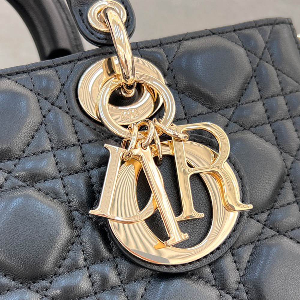 D10r Medium Lady D-Joy bag(HIGH-END GRADE)