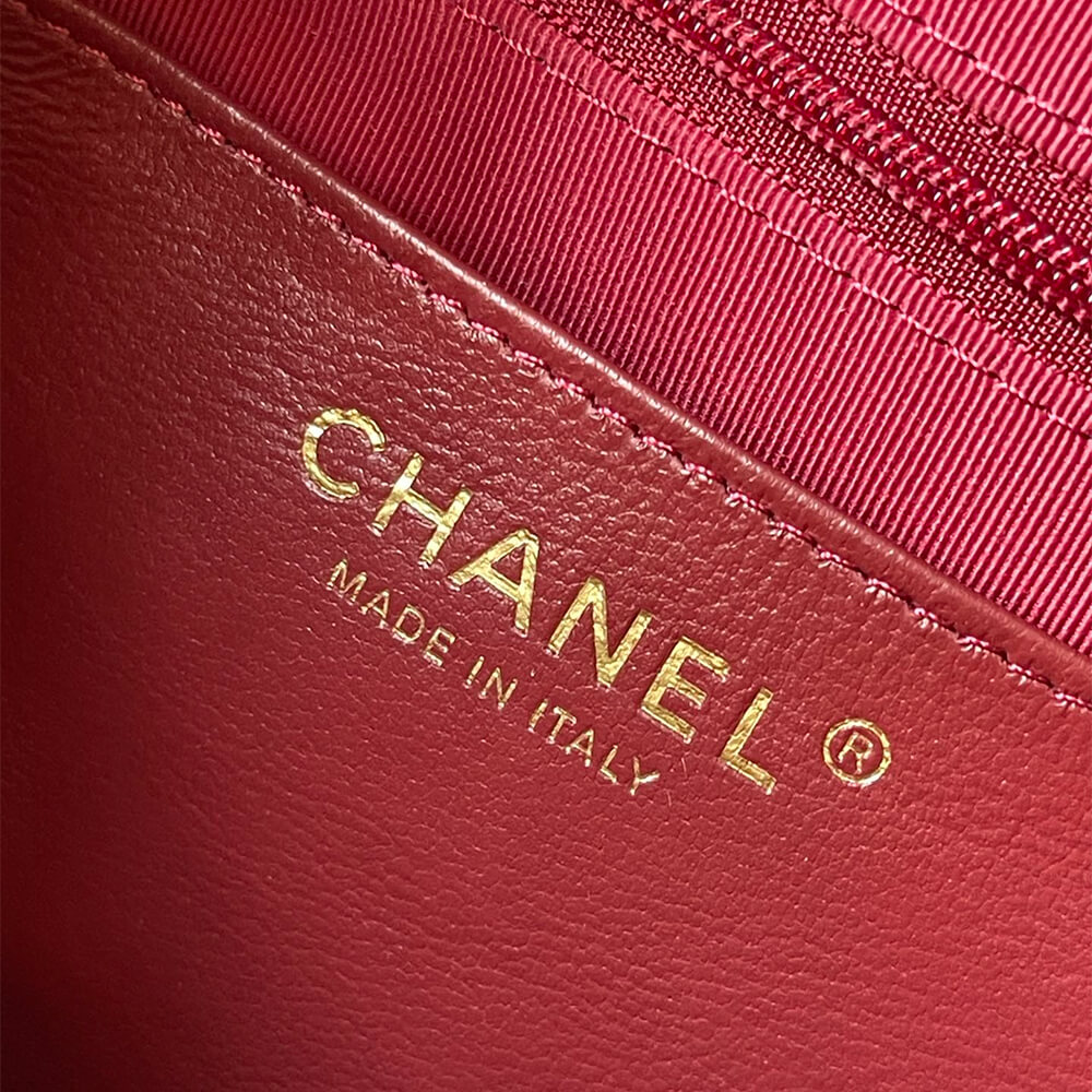 Ch**el large Camera Case