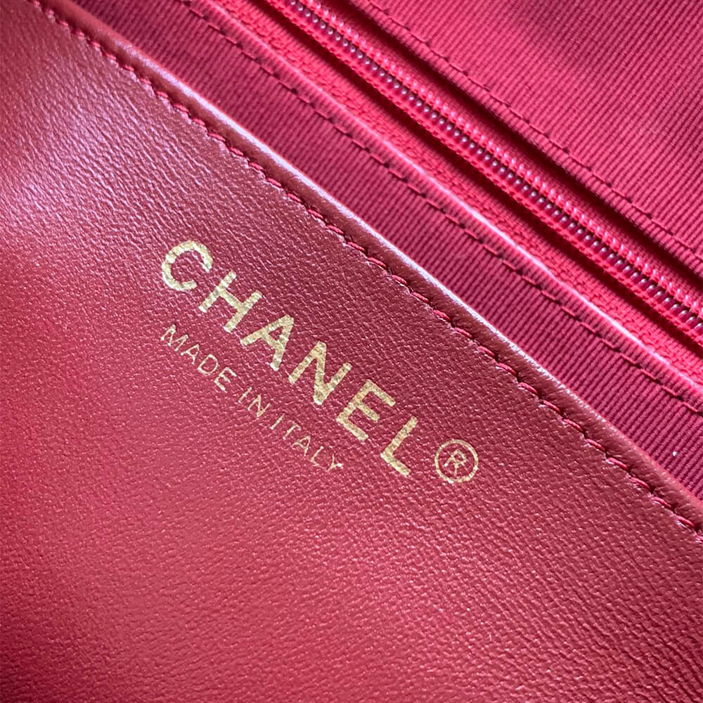 Ch**el large Camera Case