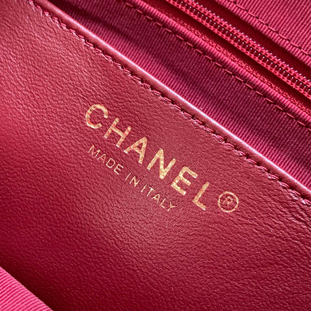 Ch**el large Camera Case